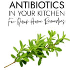 Natural Antibiotics In Your Kitchen