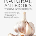 Natural Antibiotics For Home Remedies