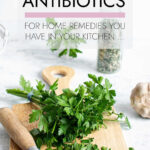 20 Natural Antibiotics You Have In Your Kitchen