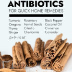 Natural Antibiotics For Quick Home Remedies