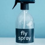 DIY fly spray bottle on blue background