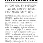 Herbs with text guide to natural antibiotics