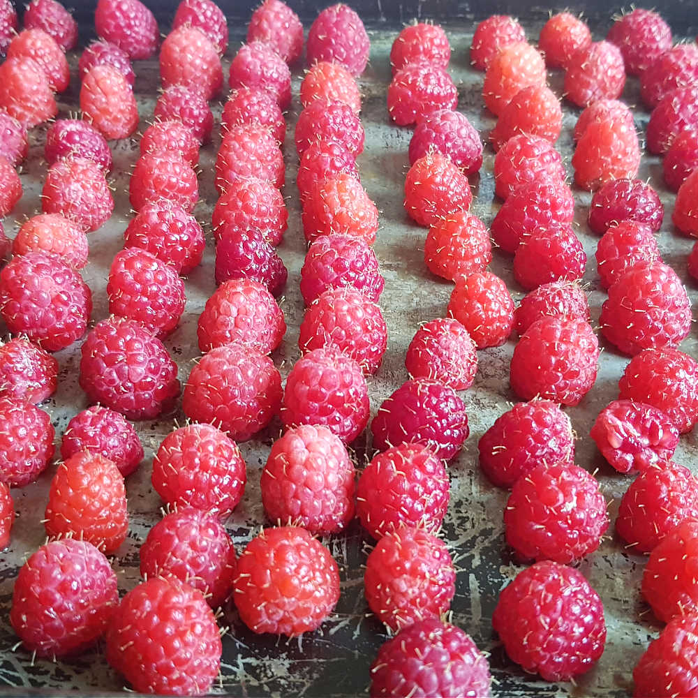 How To Store Raspberries