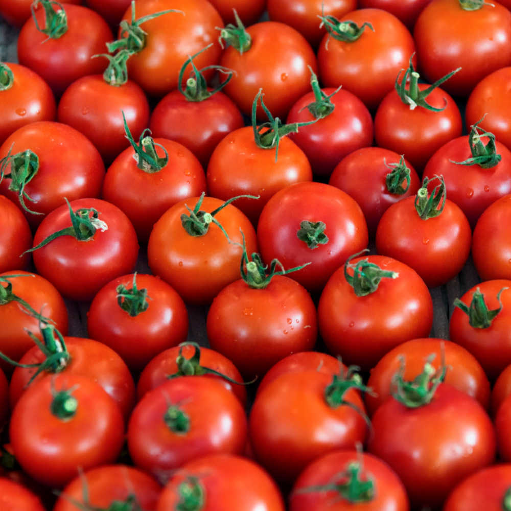 Food High In Histamine Include Tomatoes