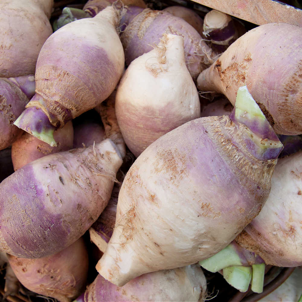 Lower Carb Rutabaga For Keto Potato Gratin Swap