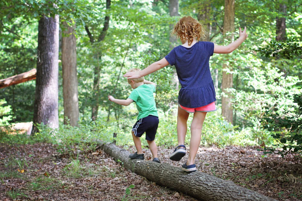 Fun Outdoor Activities For Kids - Log Balancing