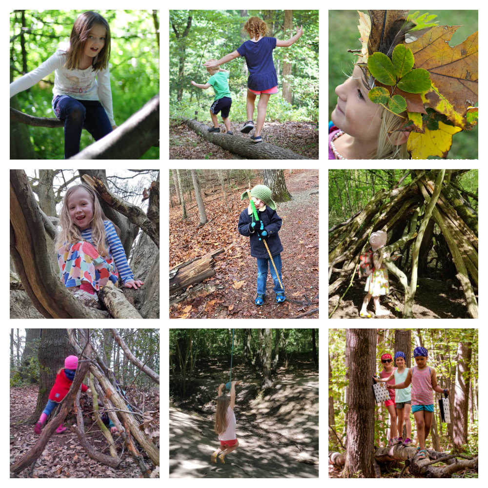 Fun Outdoor Activities For Kids In Woods And Forests