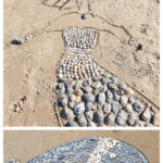 Fun Outdoor Activities For Kids On The Beach - Shell Pictures