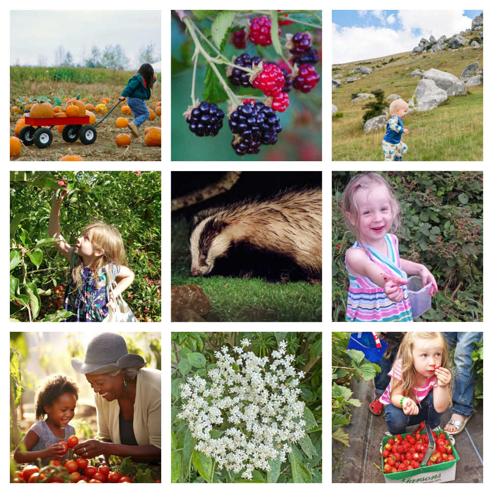 Fun Outdoor Activities With Kids In The Countryside