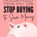 101 Things To Stop Buying