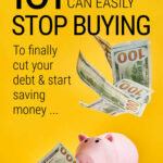 101 Things To Stop Buying To Cut Debt