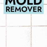 White bathroom tiles with mold in grout