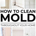 Collage of black mold in a home