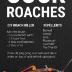 Cockroach infographic