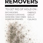 Black mold on a bathroom wall