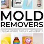 Collage of DIY products for removing mold