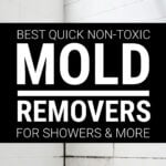 Shower cubicle with black mold in tile grouting
