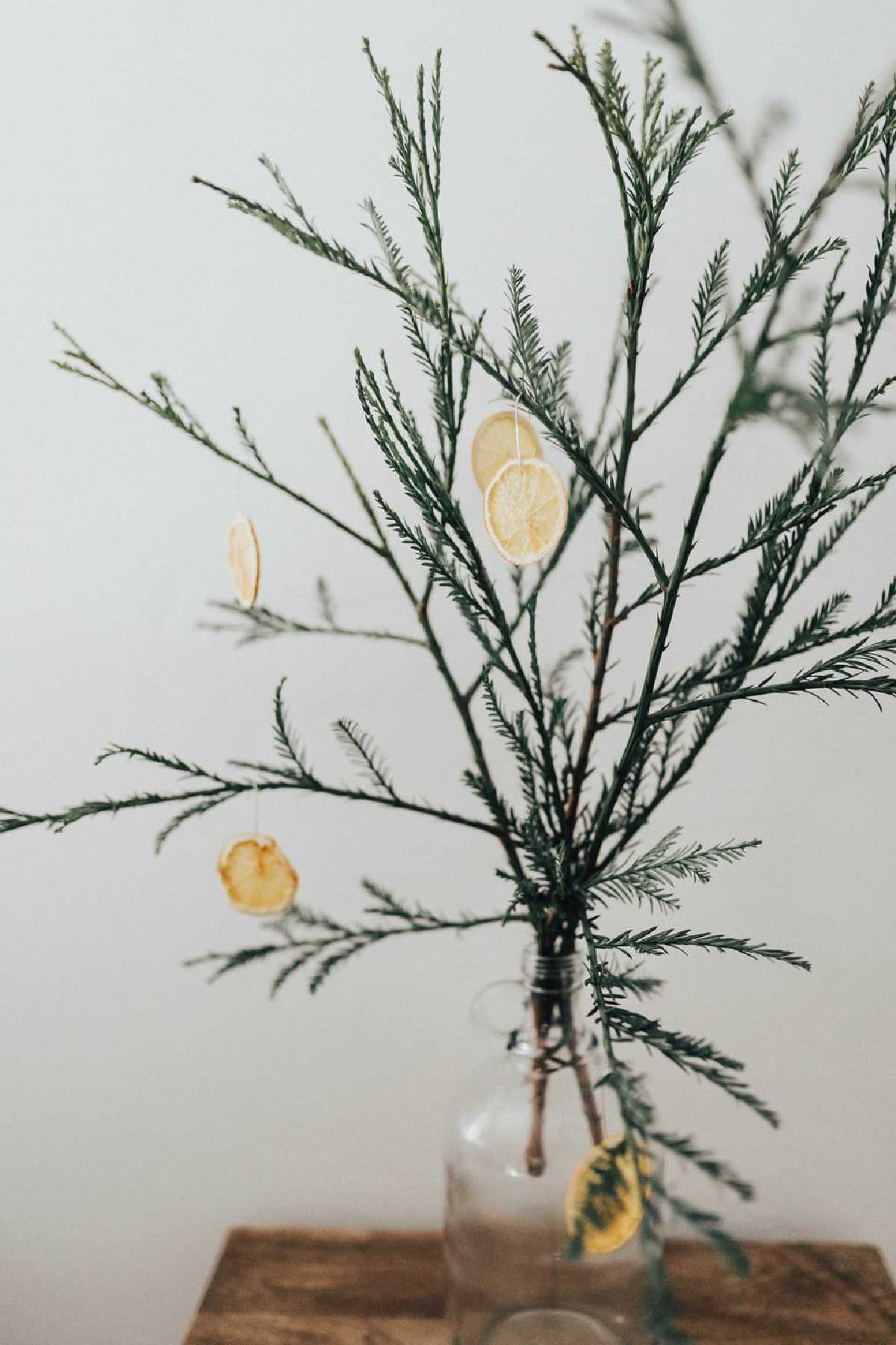 DIY Christmas Tree With Orange Slices