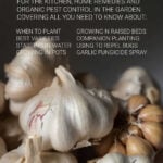 Garlic heads on dark background with overlay text