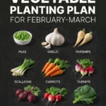 Infographic of vegetables to plant in February and March
