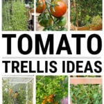 Collage of tomato trellis ideas