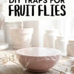 DIY fruit fly trap on kitchen worktop
