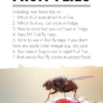 Fruit fly on red berry