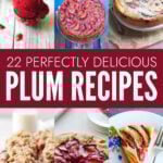 Plum reicpes