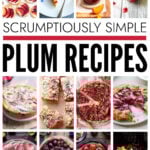 Collection of plum recipes