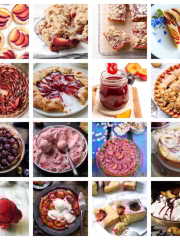 Collection of plum recipes
