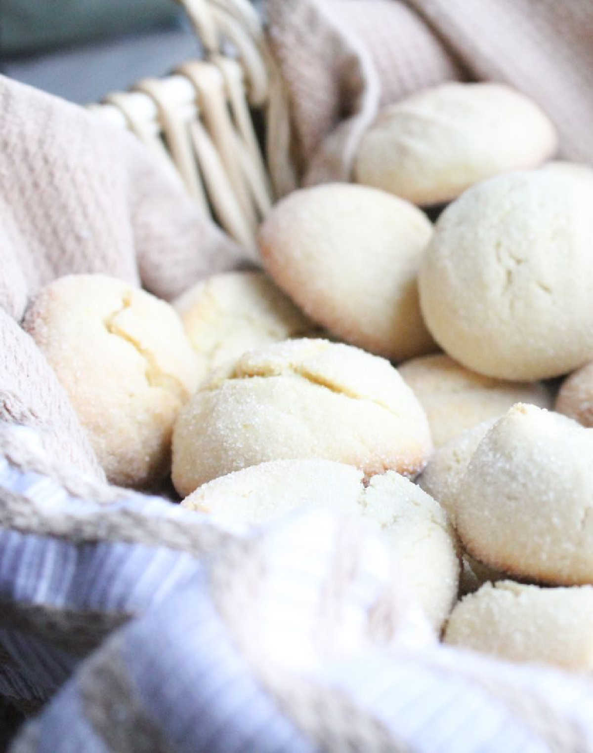 Christmas Portugese Lavadores Cookies