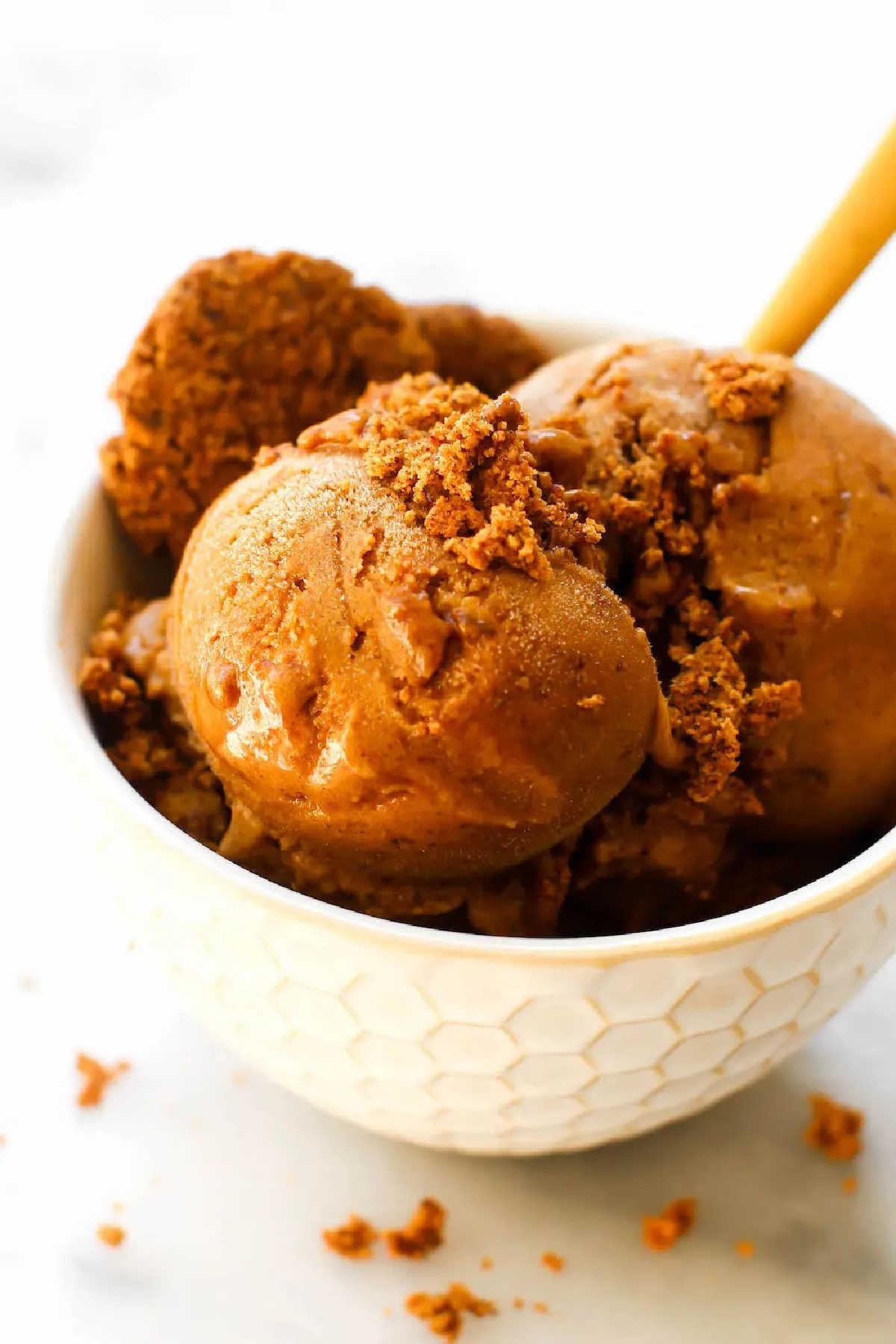 Gingerbread Icecream Recipe