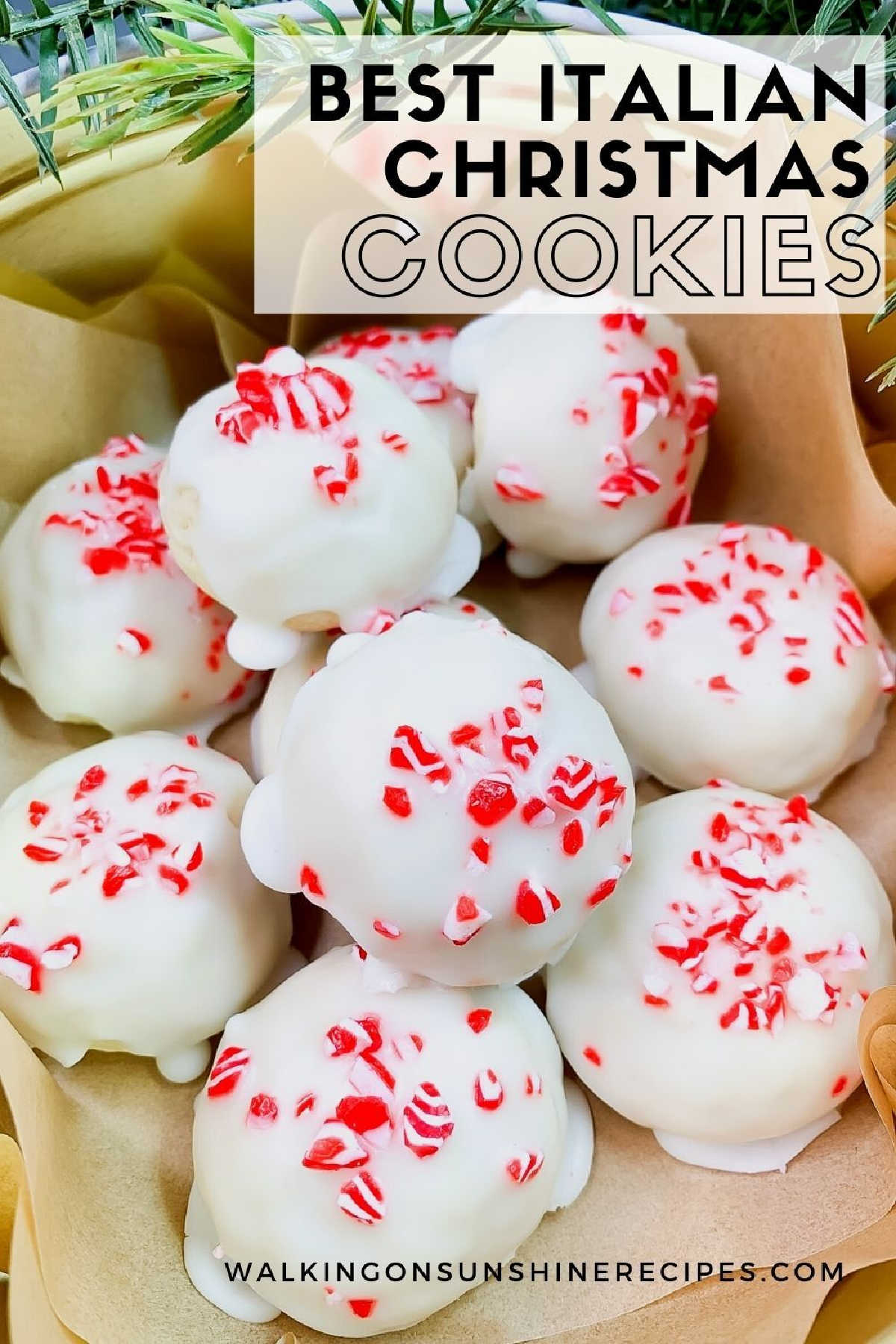 Italian Christmas Cookies