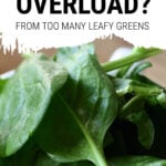 Bowl of spinach leaves