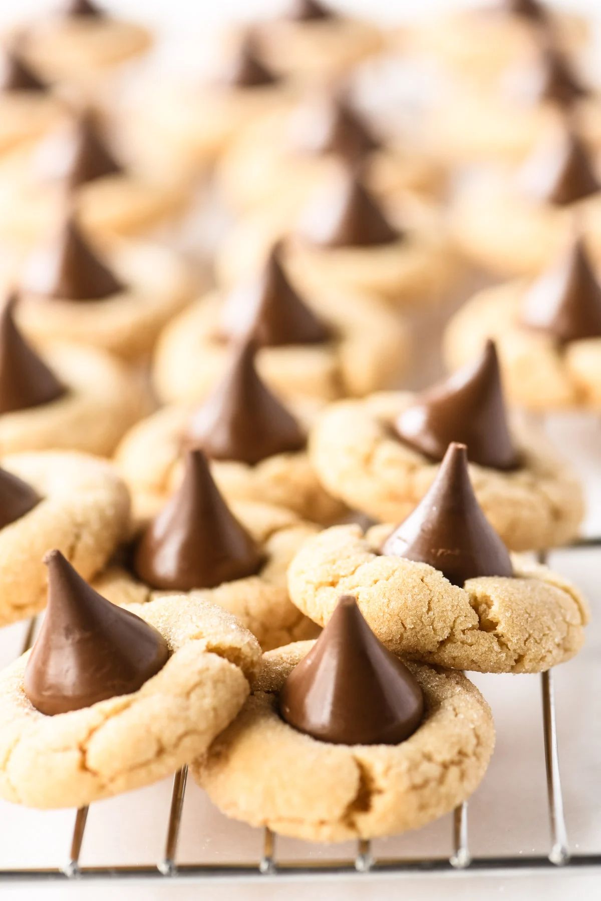 Peanut Butter Christmas Blossom Cookies
