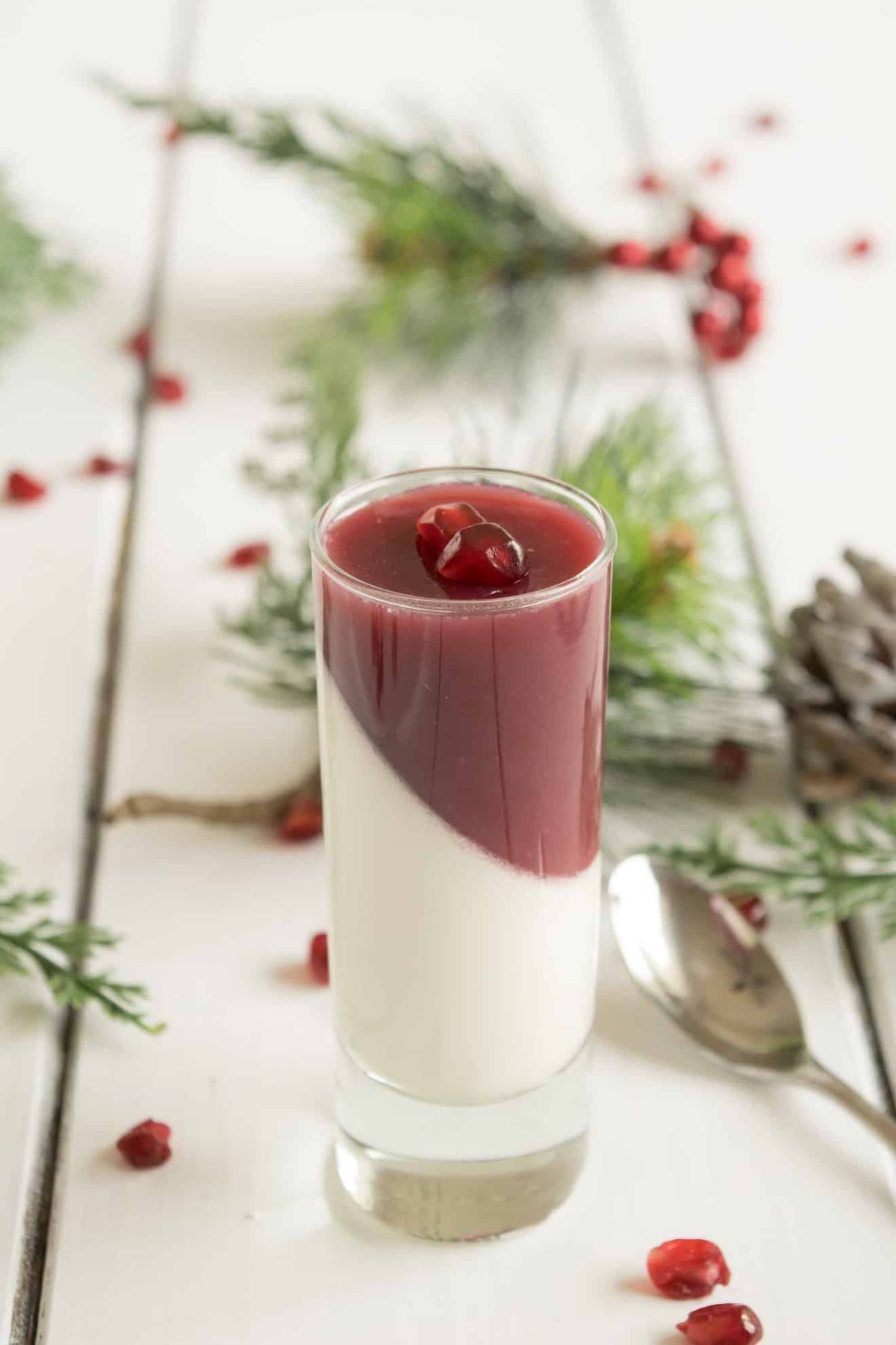 Pomegranate Panna Cotta