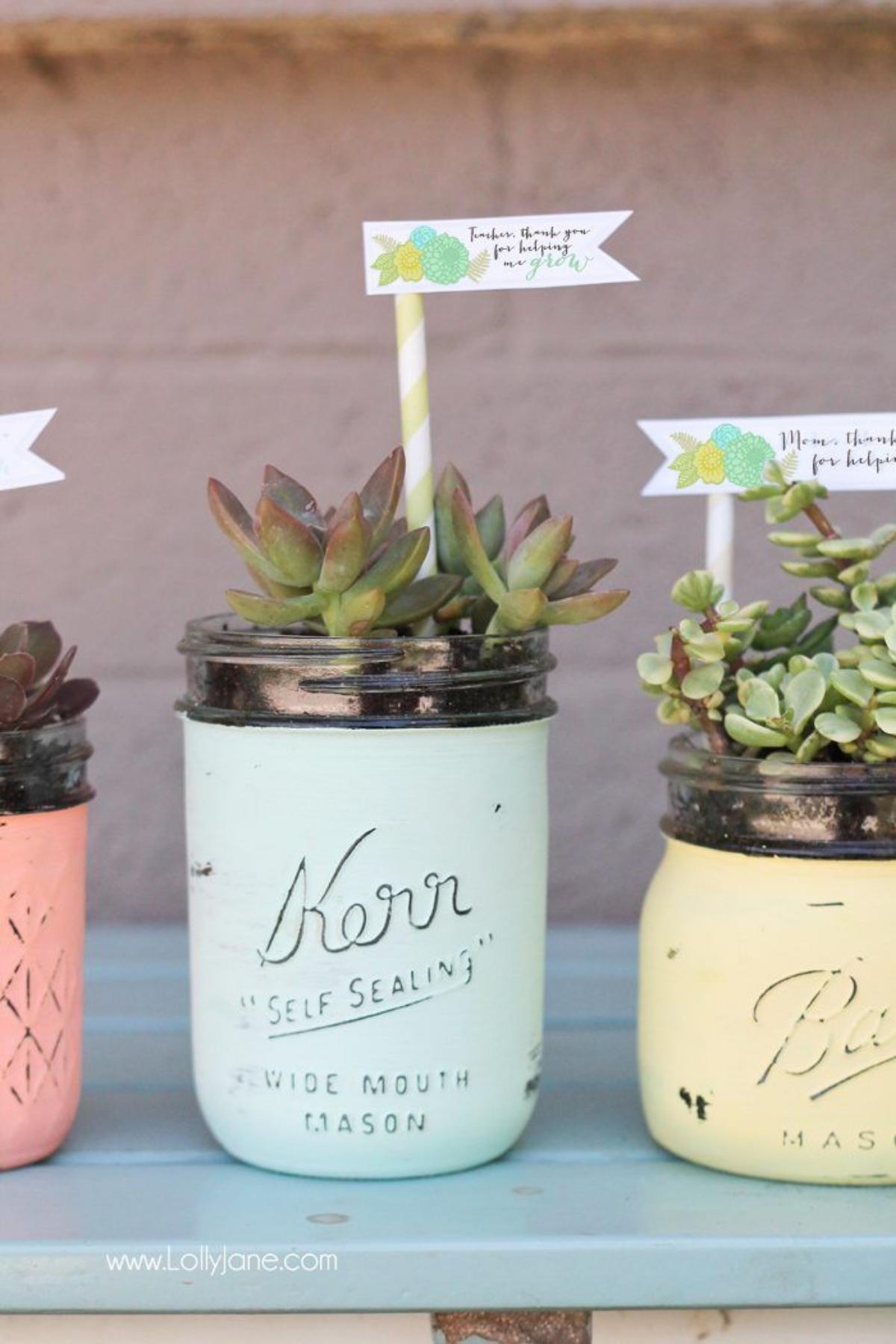 Succulent Mason Jar