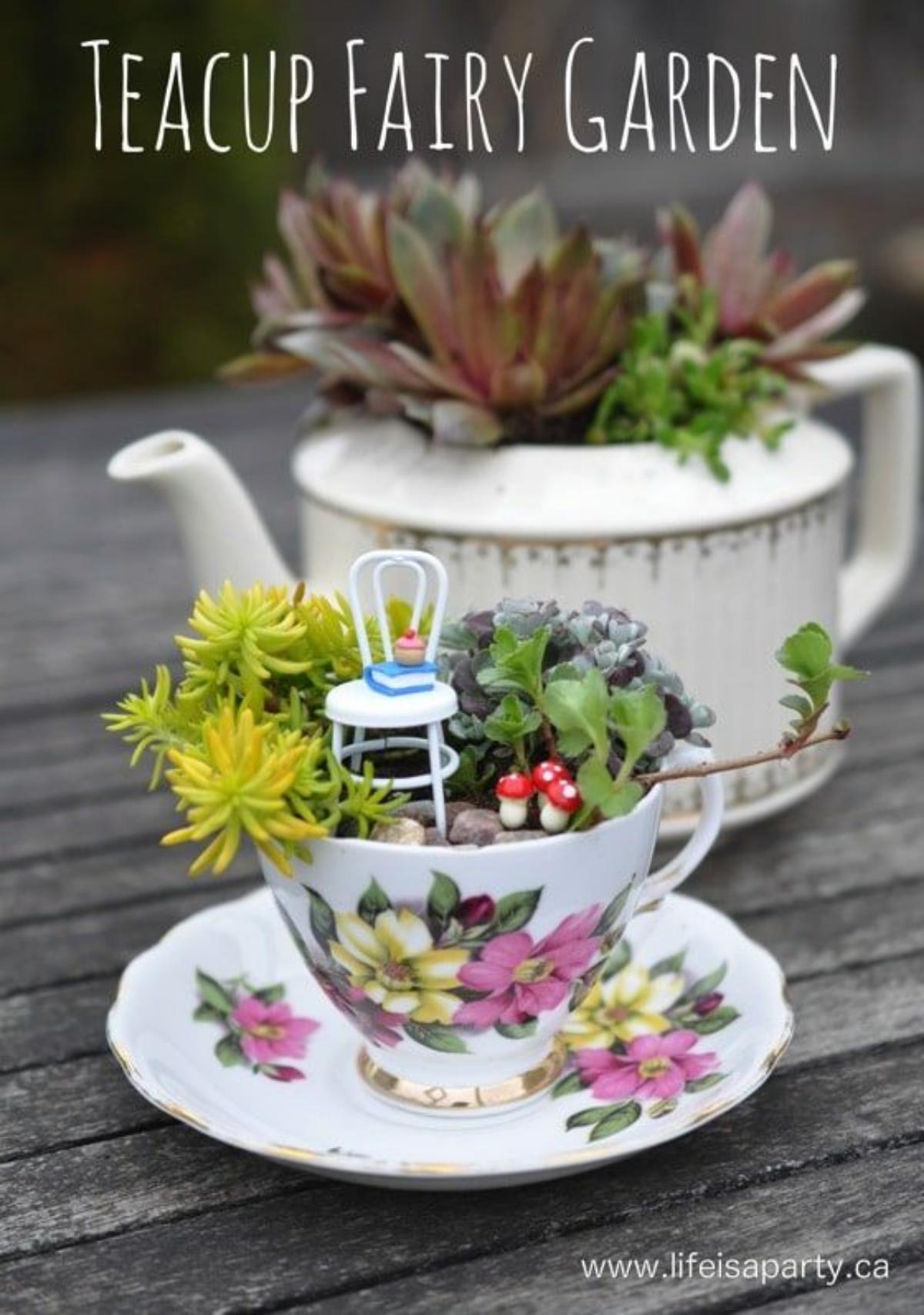 Teacup Fairy Garden