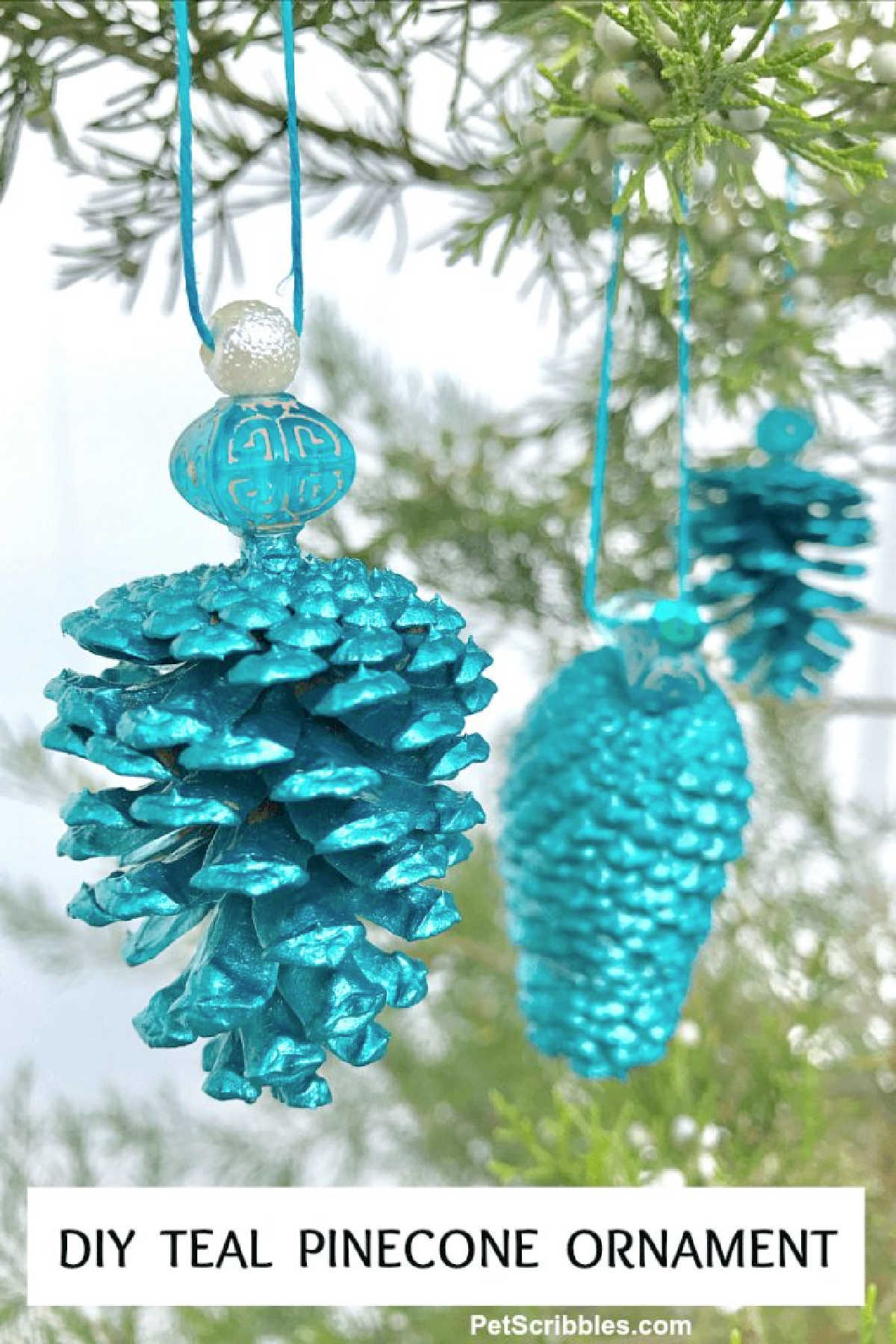 Teal coloured pine cones