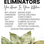 Bay leaves with a list of natural odour eliminators