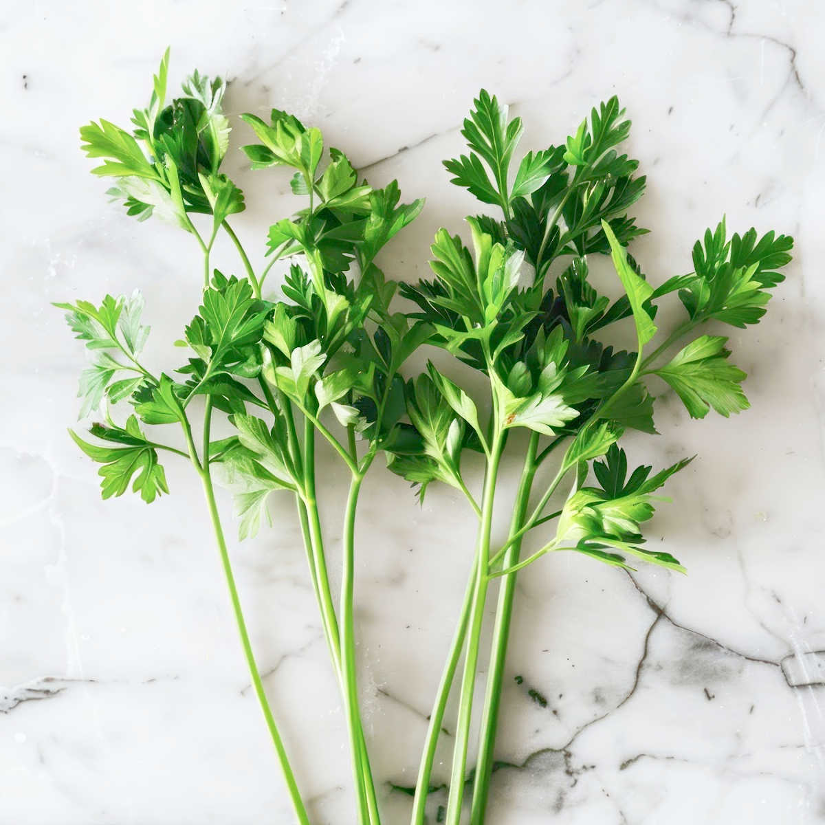 Cut parsley stems on a marble chopping board