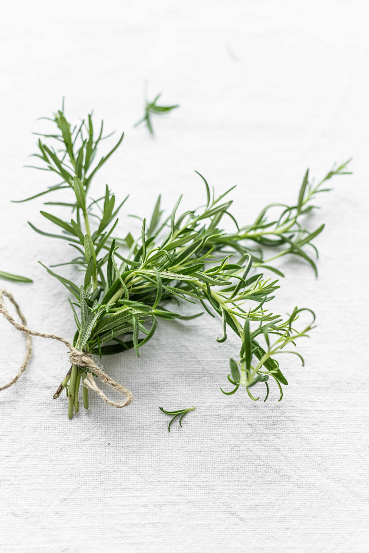 A small bundle of rosemary clippings tied with string
