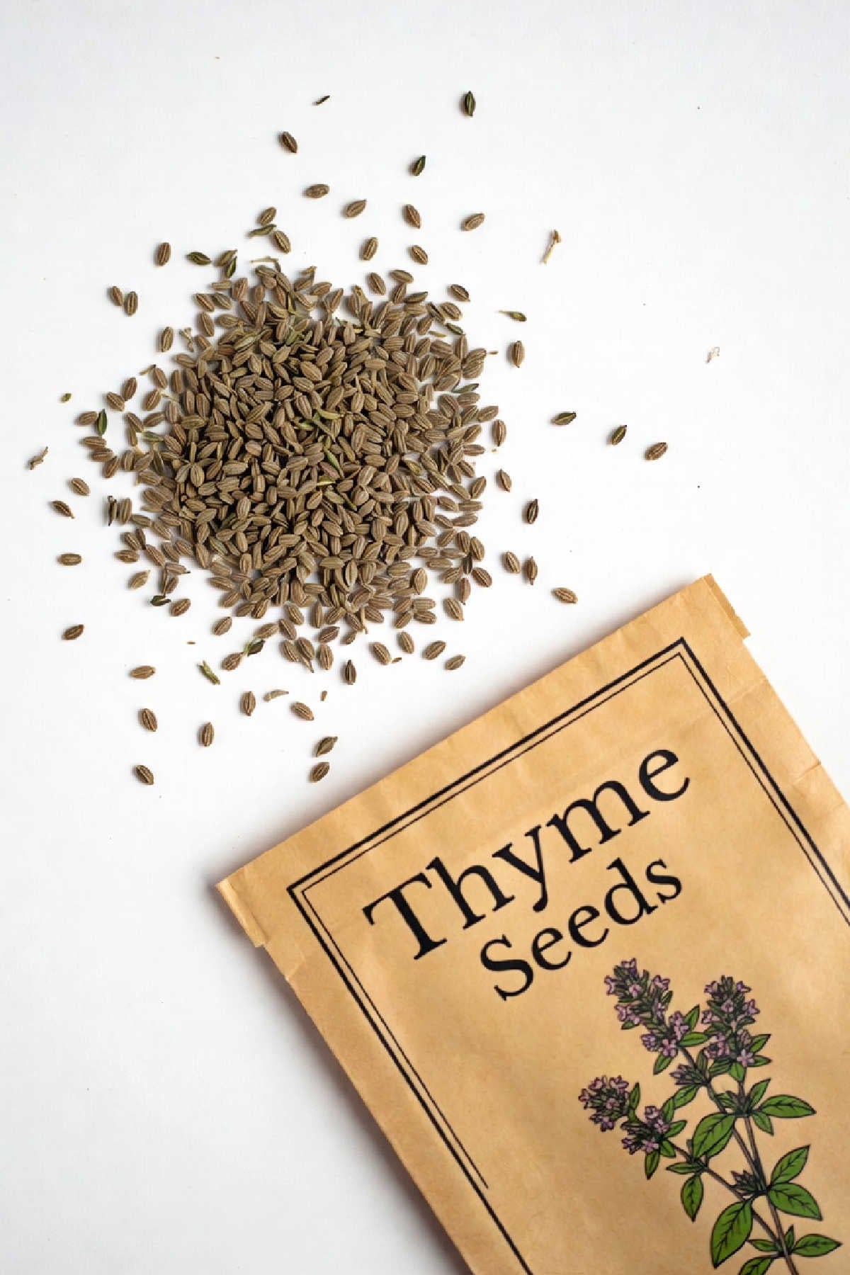 Thyme seeds next to a brown thyme seed packet