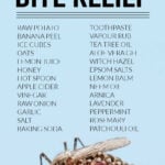 Mosquito on arm with information on homemade mosquito remedies
