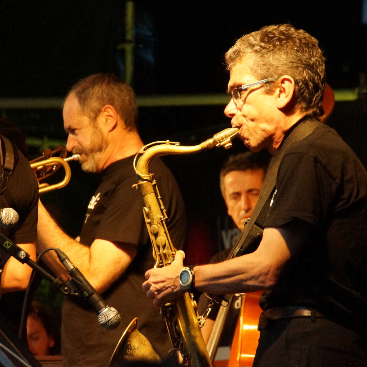 Jazz Festival Breda Holland