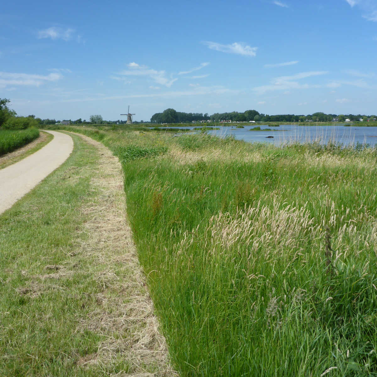 Dutch landscape