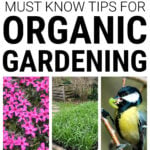 Collage of images about organic gardening
