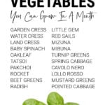Infographic of quick growing vegetables