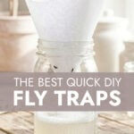 DIY fly trap made from jar and paper on a kitchen worktop