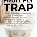 DIY fruit fly trap made with a china bowl and cling film